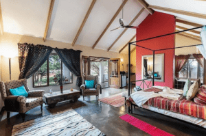 Joxilox Feathered Nest Visit Dec 2023