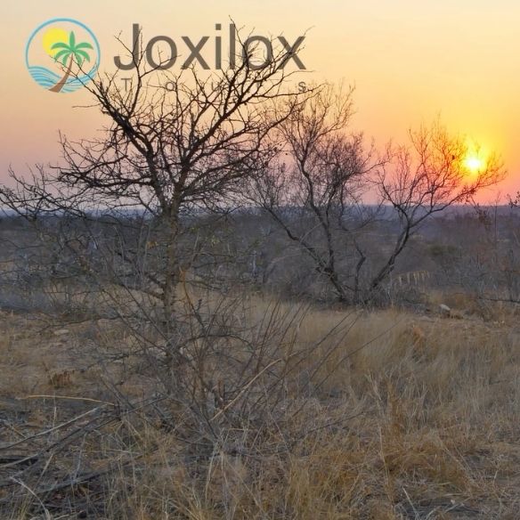 Joxilox Desnudo and Pilanesberg