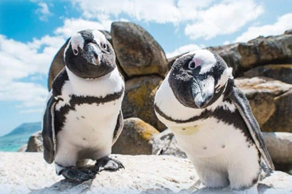 Joxilox Best of Both Tour  SunEden & Cape Town