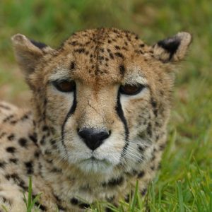 Joxilox Budget Naturist Holiday