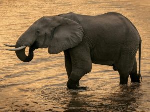 Joxilox Panorama Naturist Group Tour