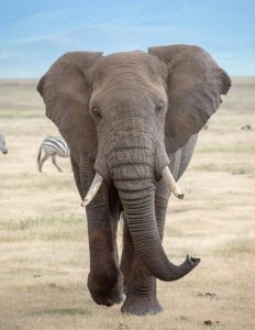 Joxilox Panorama Naturist Group Tour