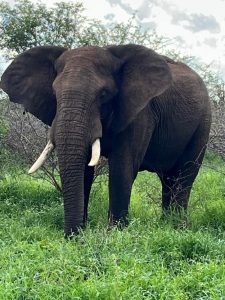 Joxilox Panorama Naturist Group Tour