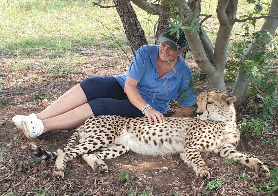 Amanda sitting with a cheetah at Lion and Cheetah Sanctuary South Africa