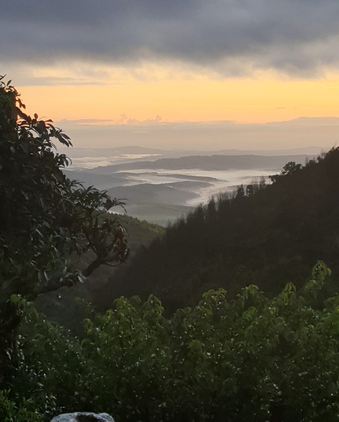 Scenic lookout point at sunset on the Panorama Route South Africa
