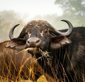 JOXILOX Budget Naturist Holiday