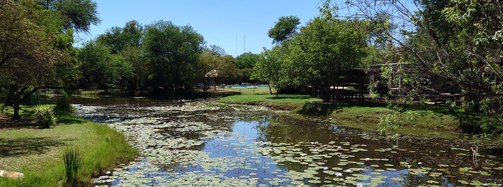 Scenic river and wetlands near SunEden Naturist Resort South Africa