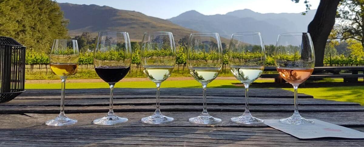 Wine tasting at the Spice Route Franschhoek Cape Town South Africa