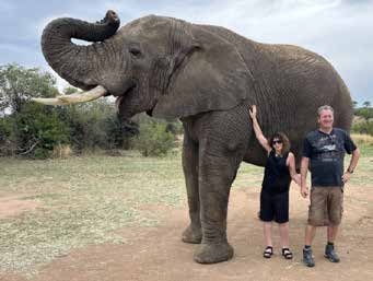 Elephant at Adventures with Elephants – Joxilox Naturist Safari