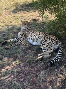 Joxilox Budget Naturist Holiday