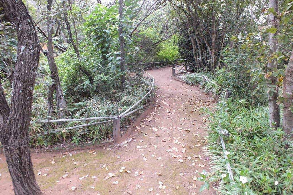 Bush path at Lauma Aurora (OUMA) naturist bush camp – Joxilox review