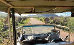 Elephants on game drive โ Joxilox Group Tour 2023
