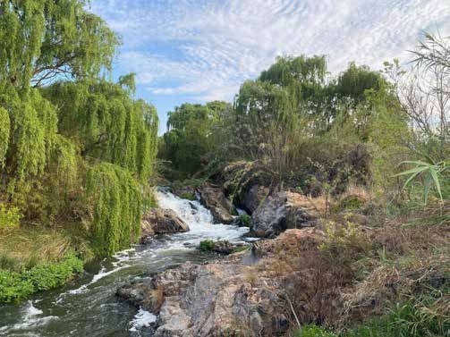 Beautiful stream and waterfall at Desnudo Naturist Resort – Joxilox 2024