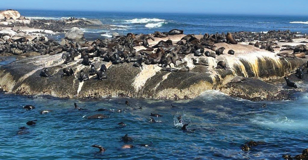 Coastal scenery – Joxilox Cape Tour March 2025