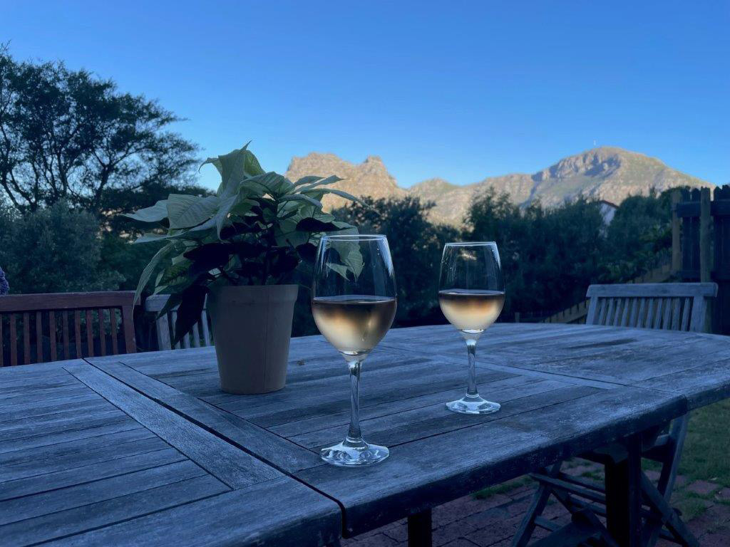 Wine and mountain views – Joxilox Cape Town West Coast research January 2024