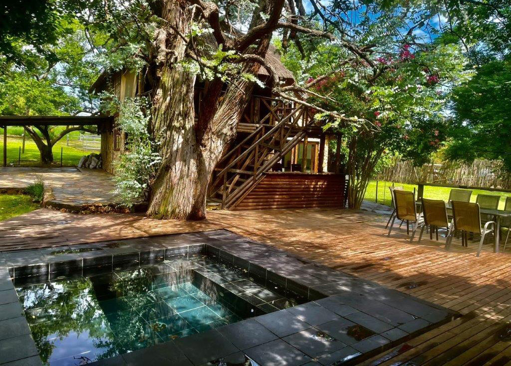 Pool area with large tree at Desnudo Naturist Resort