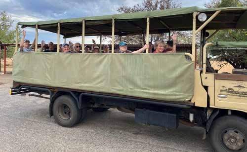 Open vehicle game drive – Pilanesberg Game Reserve, Joxilox Tour