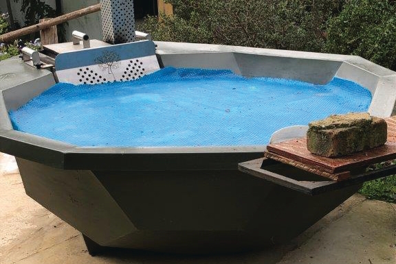 Pool at naturist guesthouse – Cape research trip, Joxilox Tours June 2024