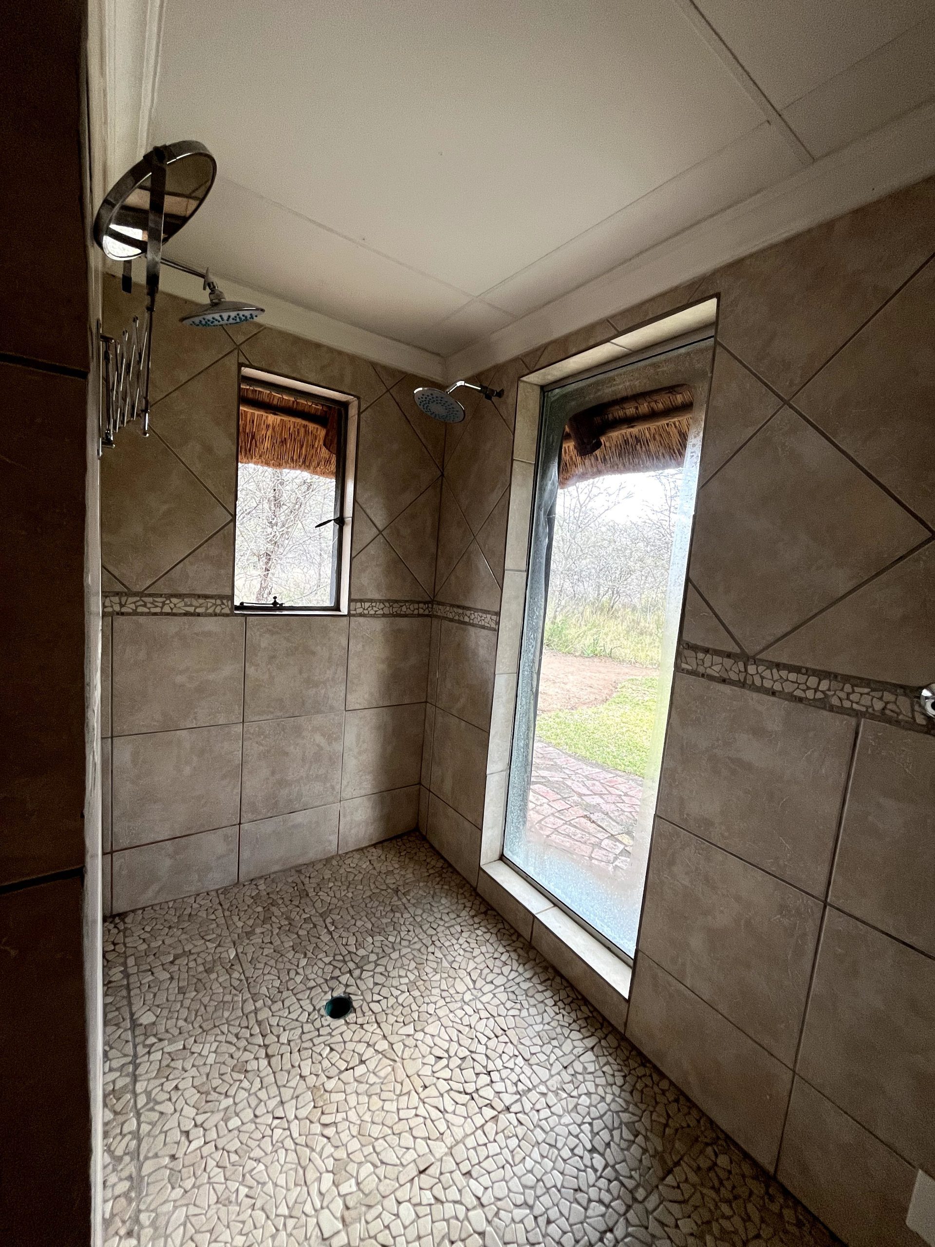 Morning Glory, SunEden:  Indoor Shower
