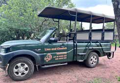 Kruger National Park safari